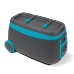 Chilly Bin Cool Box 65 Litre.
